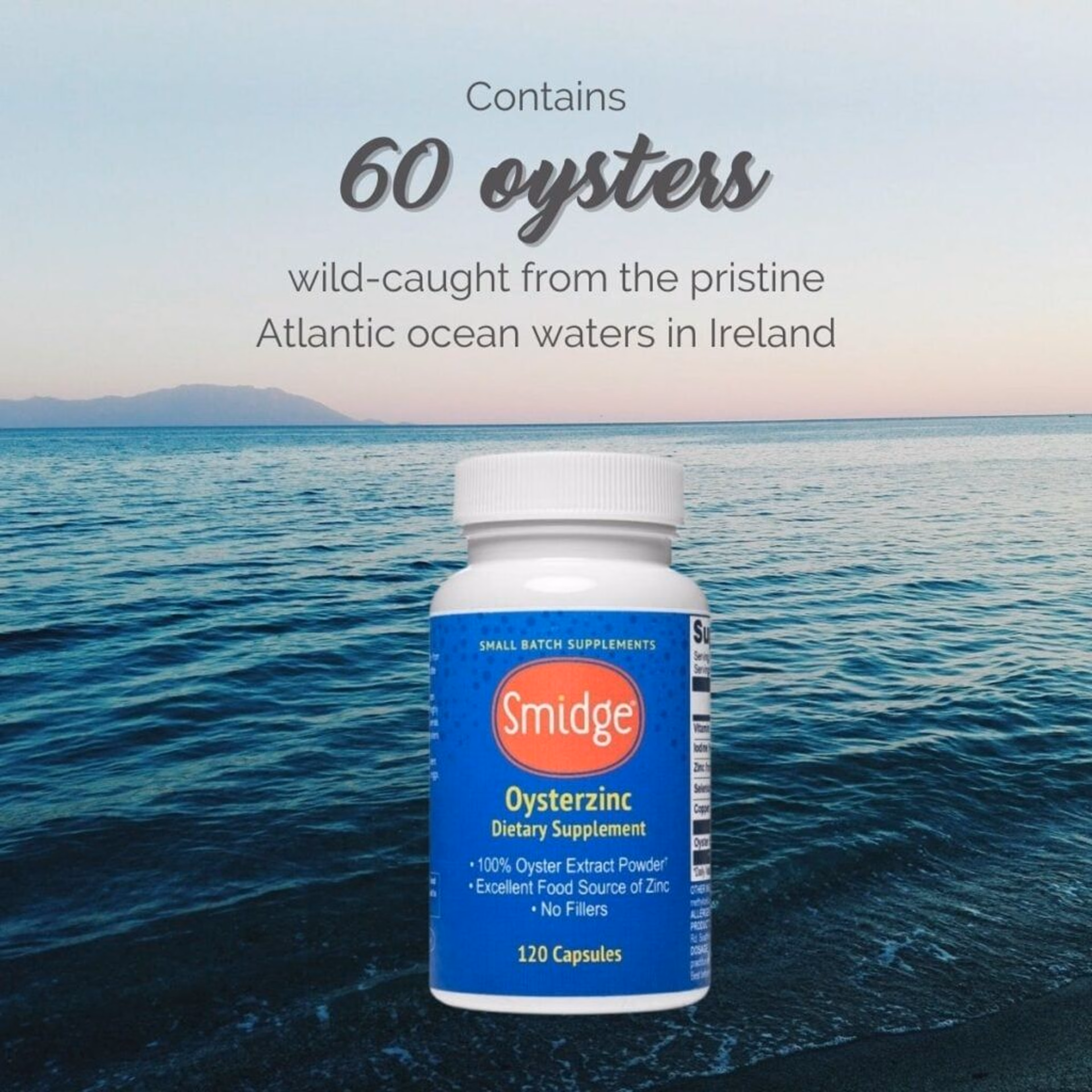 Oysterzinc 120 Capsules — image 5 of 5